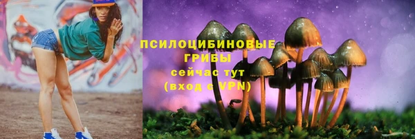mdma Сафоново