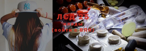 ПСИЛОЦИБИНОВЫЕ ГРИБЫ Ростов