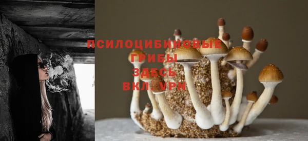 a pvp Волосово