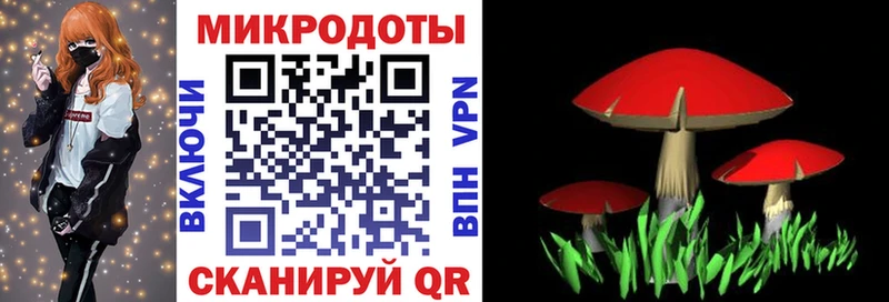 наркошоп  Истра  Галлюциногенные грибы Psilocybine cubensis 